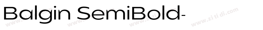 Balgin SemiBold字体转换